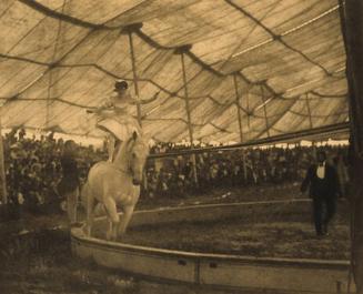 In the Circus