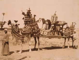 Cairo Transport