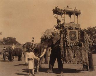 Indian Elephant with Elaborate Howdah