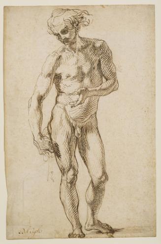 Male Nude (recto and verso)