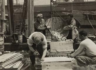 Dock Stevedores Packing and Icing Fish at Fulton Fish Market