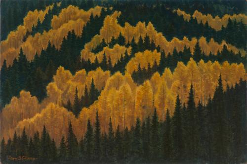 Untitled (Aspens and Pines)
