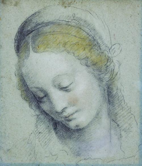 Head of a Veiled Woman, Looking Down
