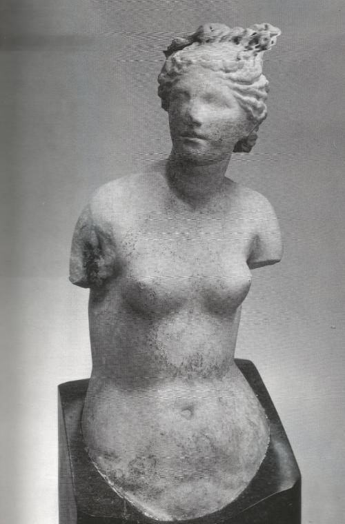 Head and torso of Aphrodite