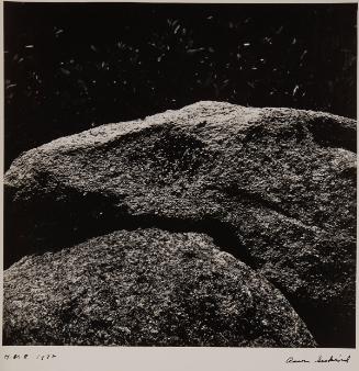 Martha's Vineyard Stone Walls 8, 1972