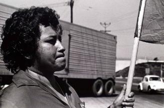 Picket, from the series, "Farmworkers"