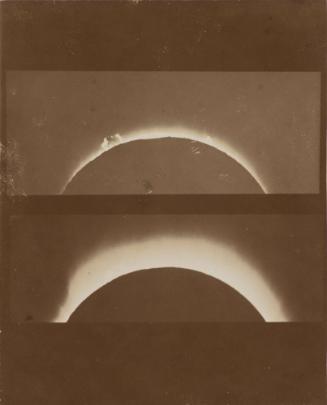 Total Solar Eclipse Showing the Prominences