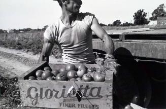Man Lifting a Box of Tomatoes, from the series, "Walnut Grove: Portrait of a Town"