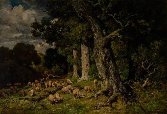 Sheep in the Forest at Fontainebleau
