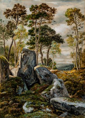 View in the Forest of Fontainebleau