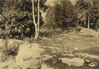 Rocky Ledge with Lumber and Standing Trees