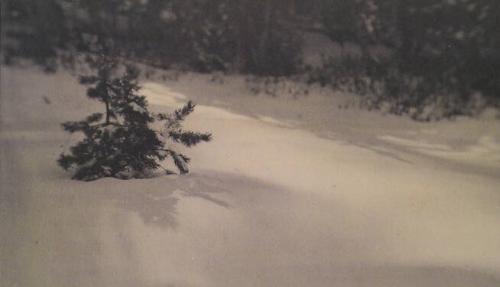 Untitled (snow scene)