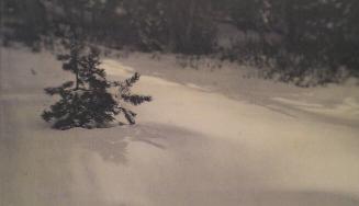 Untitled (snow scene)