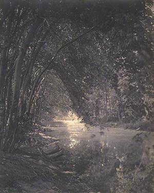 Shadowy Waters