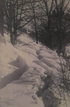 Untitled (snow scene)