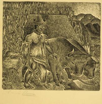 Untitled (Man plowing field with team of oxen)