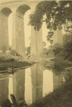 Welwyn Viaduct from My Garden