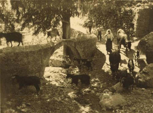 Untitled (Village Scene)