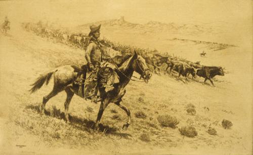 Point Riders