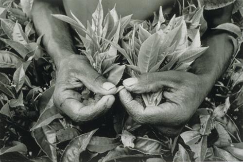 Rwanda