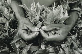 Rwanda
