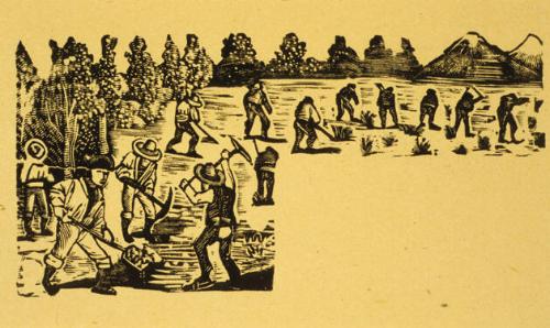 Untitled (Men working in a field)