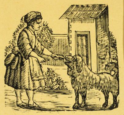 Untitled (Woman feeding an animal)