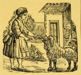 Untitled (Woman feeding an animal)