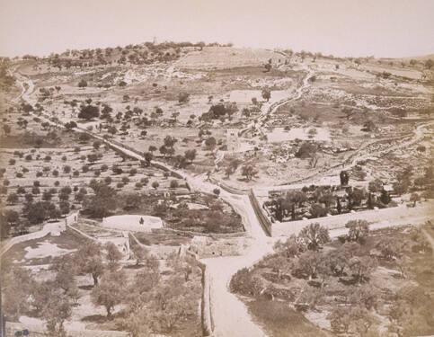 Garden of Gethsemane and Mount of Olives