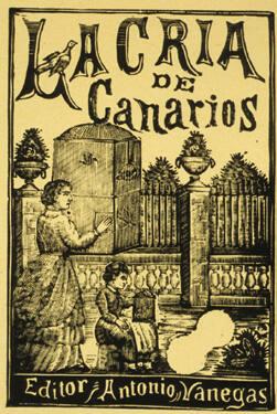 Untitled ("La Cria de Canarios")