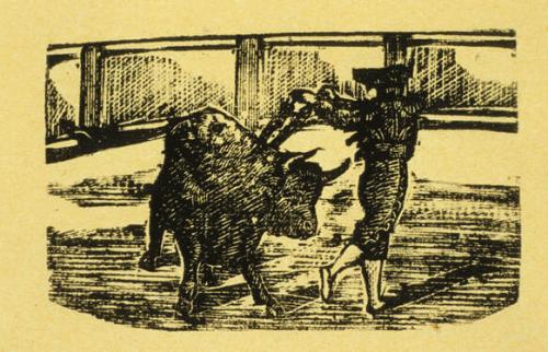 Untitled (Matador stabbing bull)