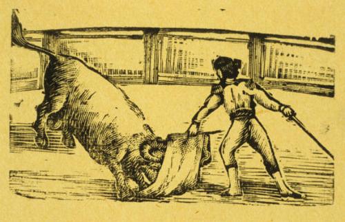 Untitled (Matador holding cape in front of bull)