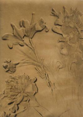 Solarized Plant Forms