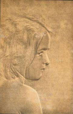 Solarized Profile
