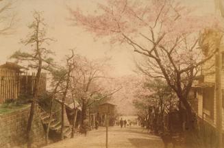 Street in Native Town of Yokohama