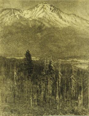 Mt. Shasta, El. 14,162 Feet