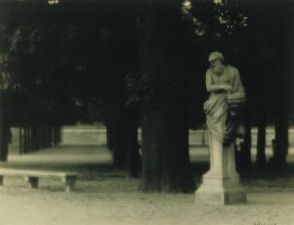 Jardin des Tuileries, Summer