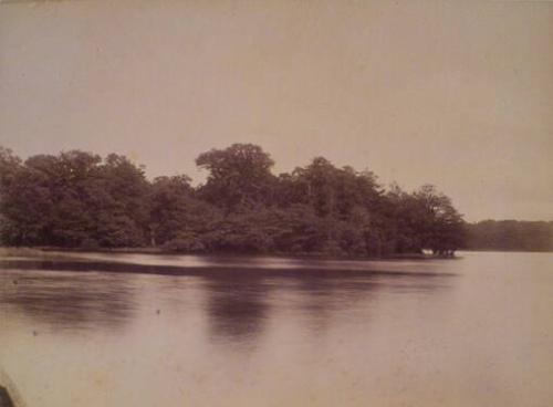 Fritton Lake