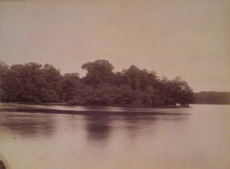 Fritton Lake