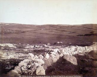 Field of Boaz in the Environs of Bethlehem