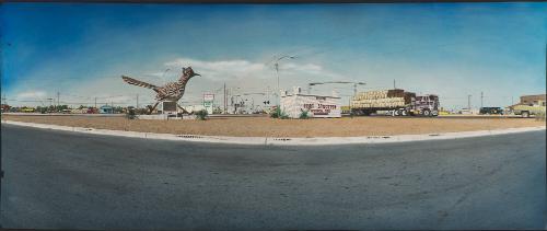 Fort Stockton, Texas: Roadrunner
