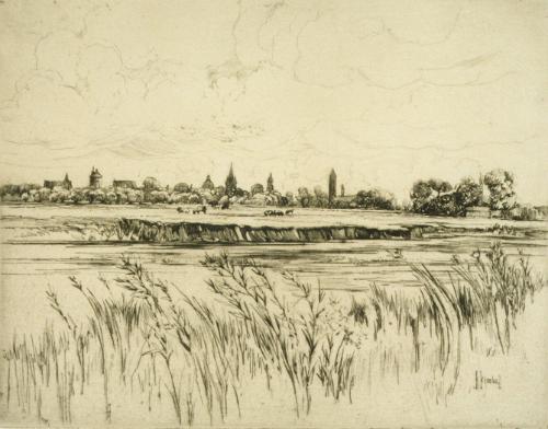 Port Meadows, Oxford