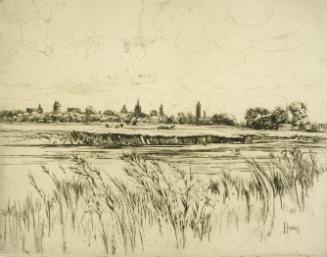 Port Meadows, Oxford