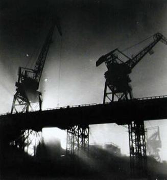 Cranes at Night