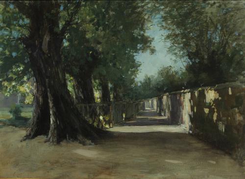 A Shady Path