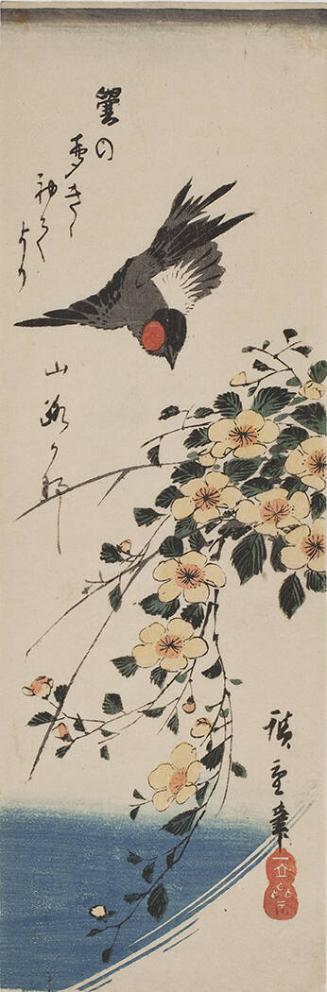 Bullfinch (Uso) and Japanese Mountain Rose