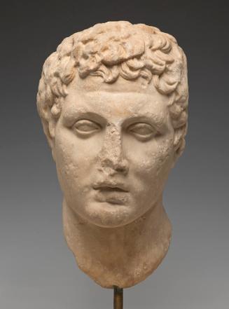 Head of a Youth