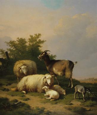 Landscape with Sheep and Goats