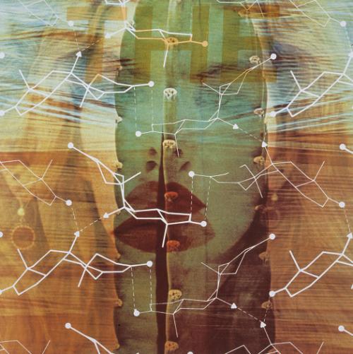 James ROSENQUIST