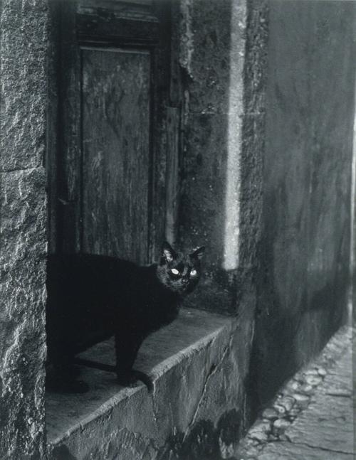 Untitled (Puerto Vallarta, Jalisco)